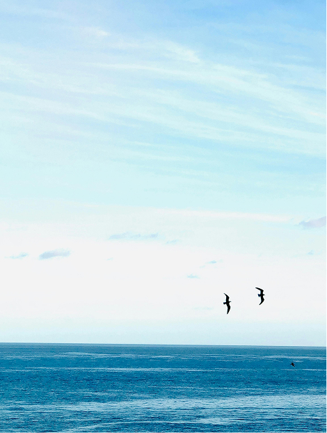 shutterstock_2011106612-2-10.jpg